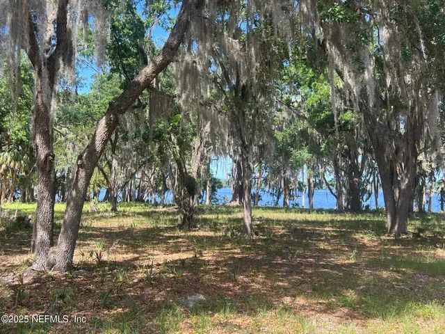 a view of a ground with large trees