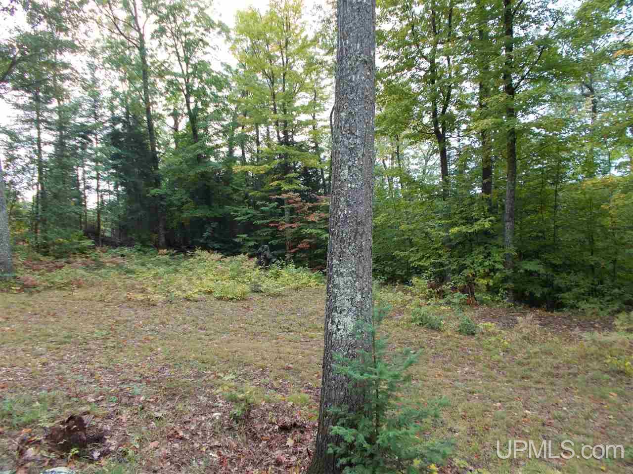 80-acres Co Rd Gga (aka Red Road Champion, MI 49849 - Photo 16 of 26
