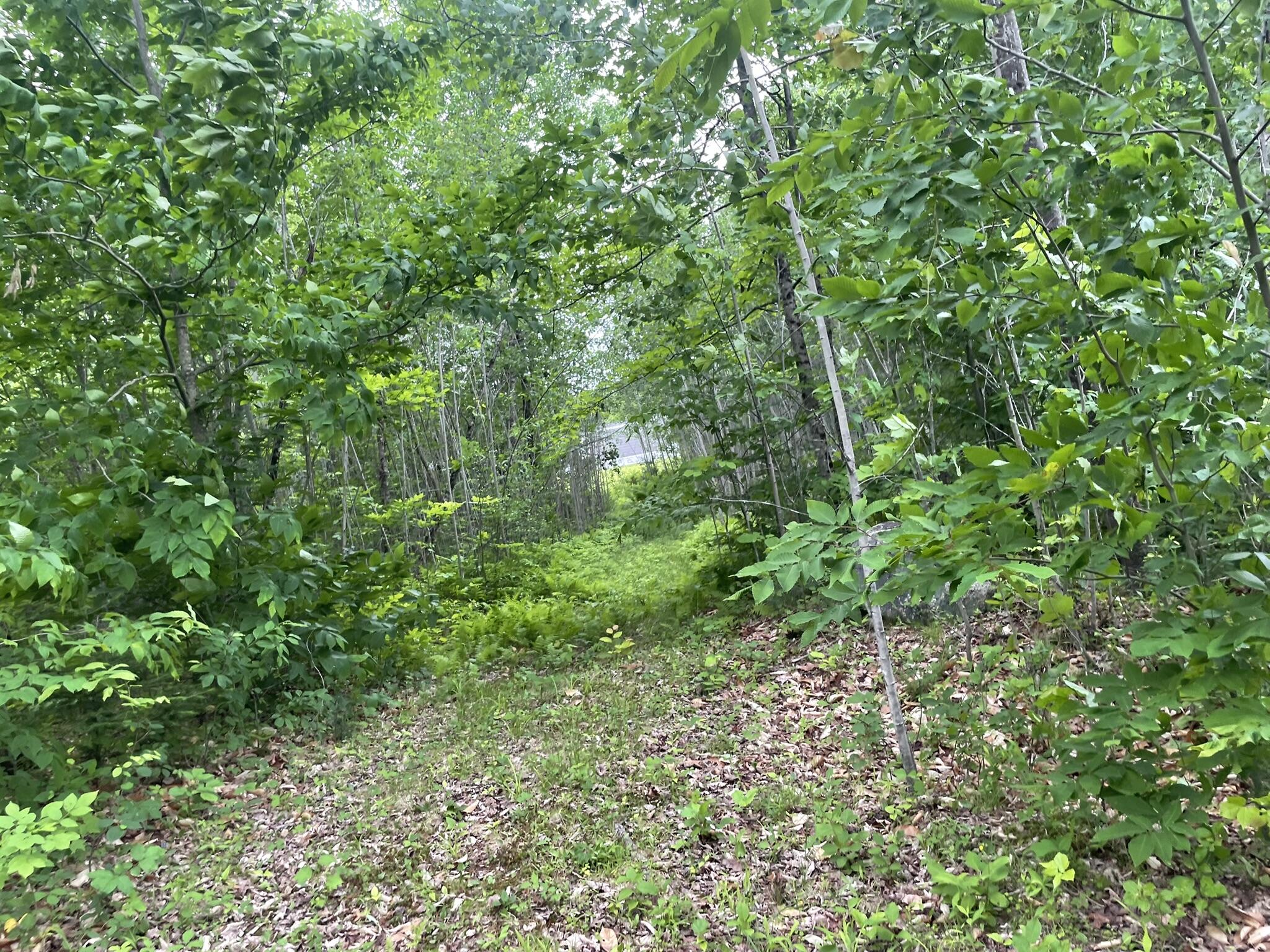19 Swan Road New Sharon, ME 04955 - Photo 114 of 124 IMG_6317