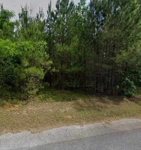 $66,900 | 1868 Haseldon Drive, Manning, SC 29102