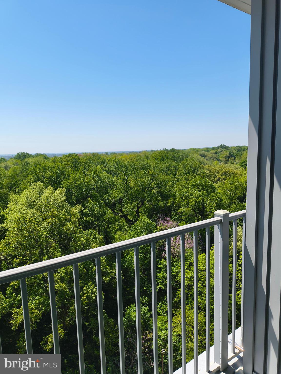 3900 West Ford Road, Unit 17M Philadelphia, PA 19131 - Photo 4 of 14