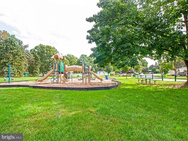 a view of a park with large trees