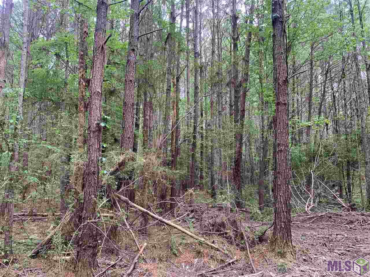 0 North Old Liberty Road North Clinton, LA 70722 - Photo 12 of 15 Gallery Image 12