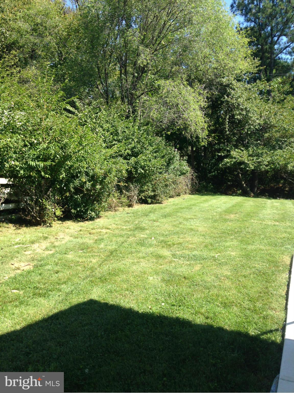 4003 Rouen Road Randallstown, MD 21133 - Photo 6 of 6 Exterior (Rear)