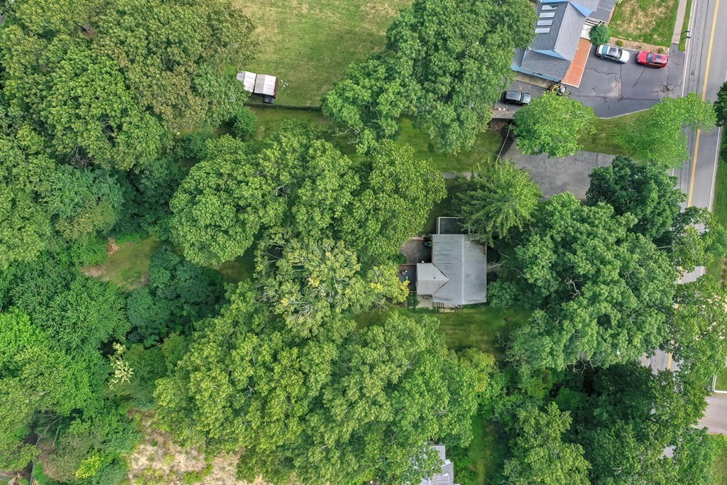 553 Winter Street Walpole, MA 02081 - Photo 10 of 42 an aerial view of a house with a yard and large trees