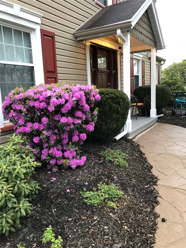 26 Misty Pine Road Perinton, NY 14450 - Photo 35 of 38 Think Spring