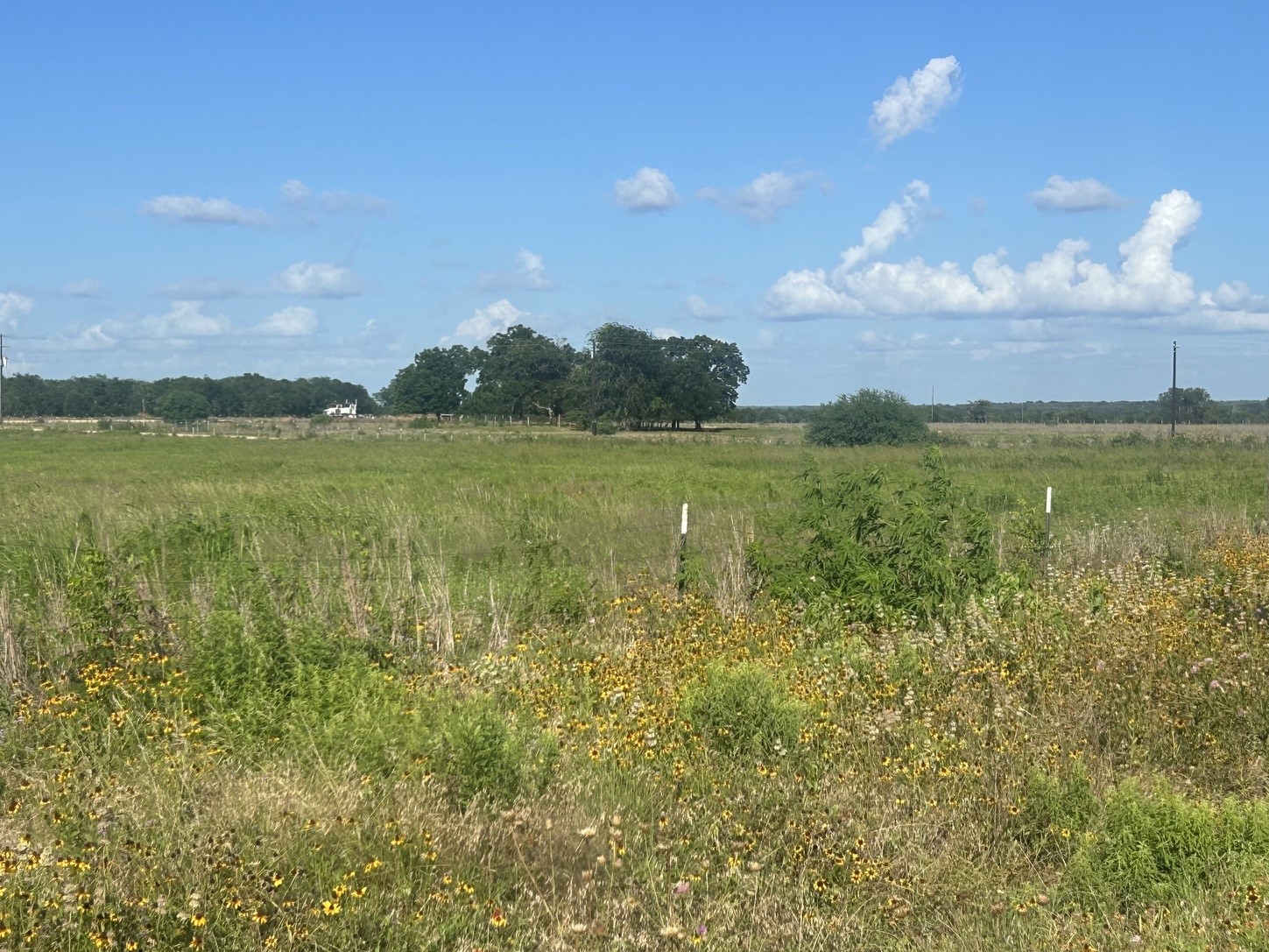 9012 Fm 141 Dime Box, TX 77853 - Photo 7 of 9