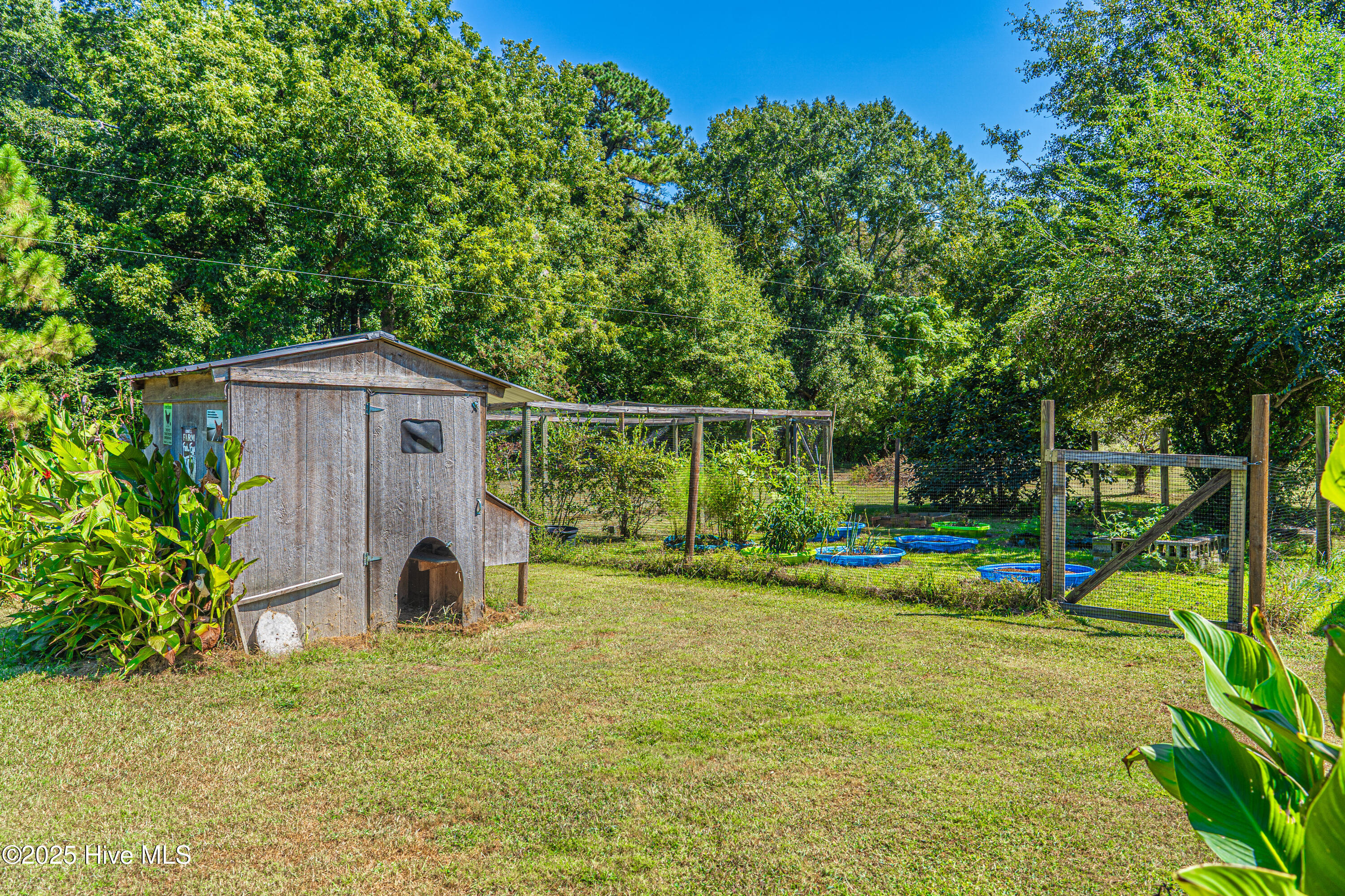 8701 X Way Road Gibson, NC 28343 - Photo 81 of 97 DSC02418