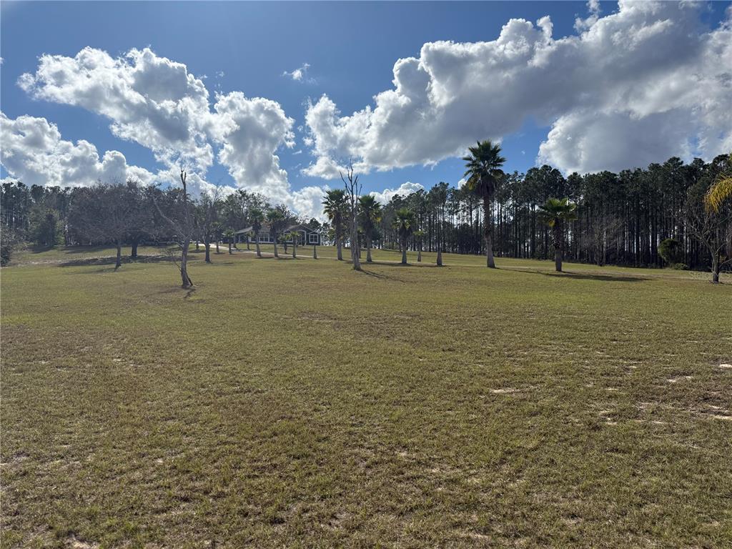 14520 Lost Lake Road Clermont, FL 34711 - Photo 32 of 47 a view of outdoor space with city view