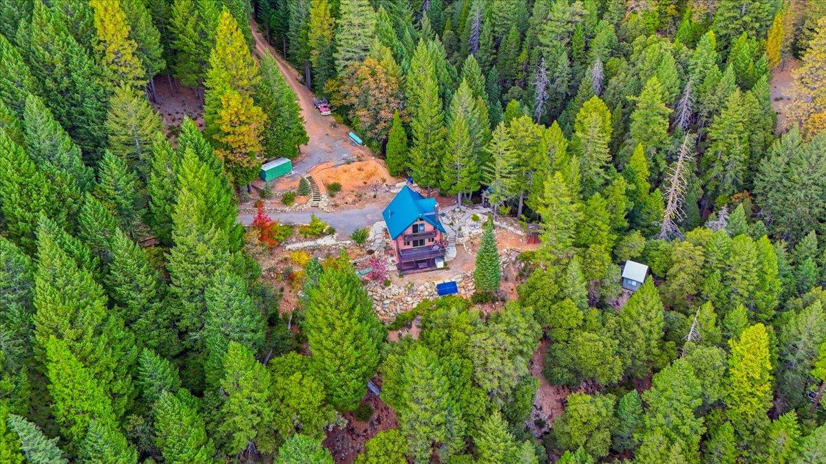 200 Craycroft Ridge Road Downieville, CA 95936 - Photo 41 of 69 Gallery Image 41