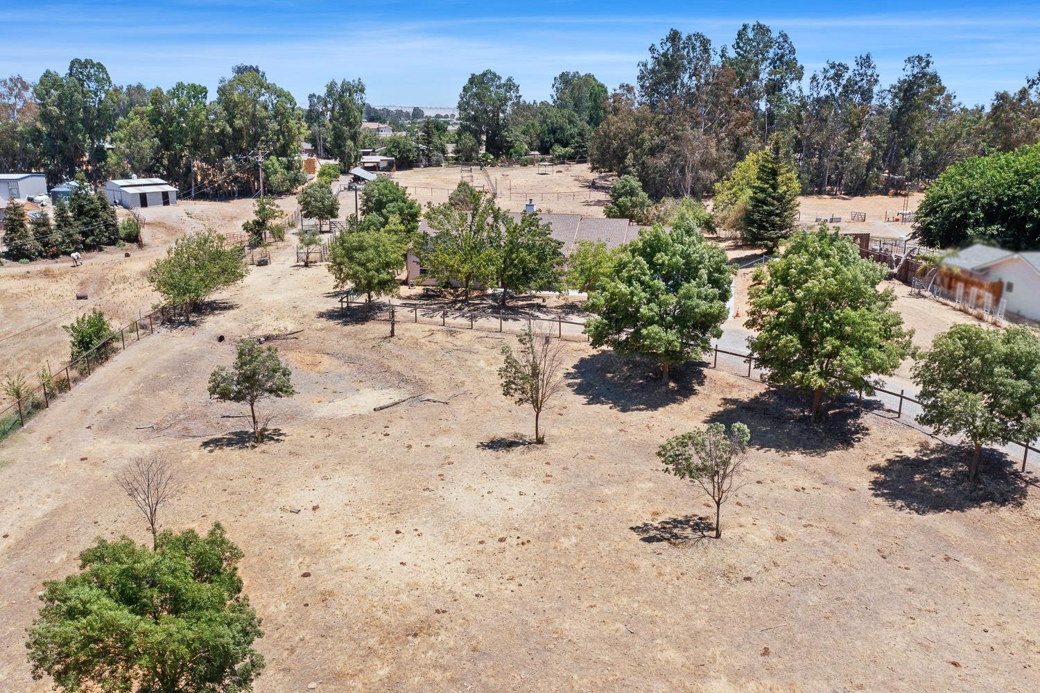 16787 Monreal Road Madera, CA 93636 - Photo 35 of 35 a view of a yard with a tree