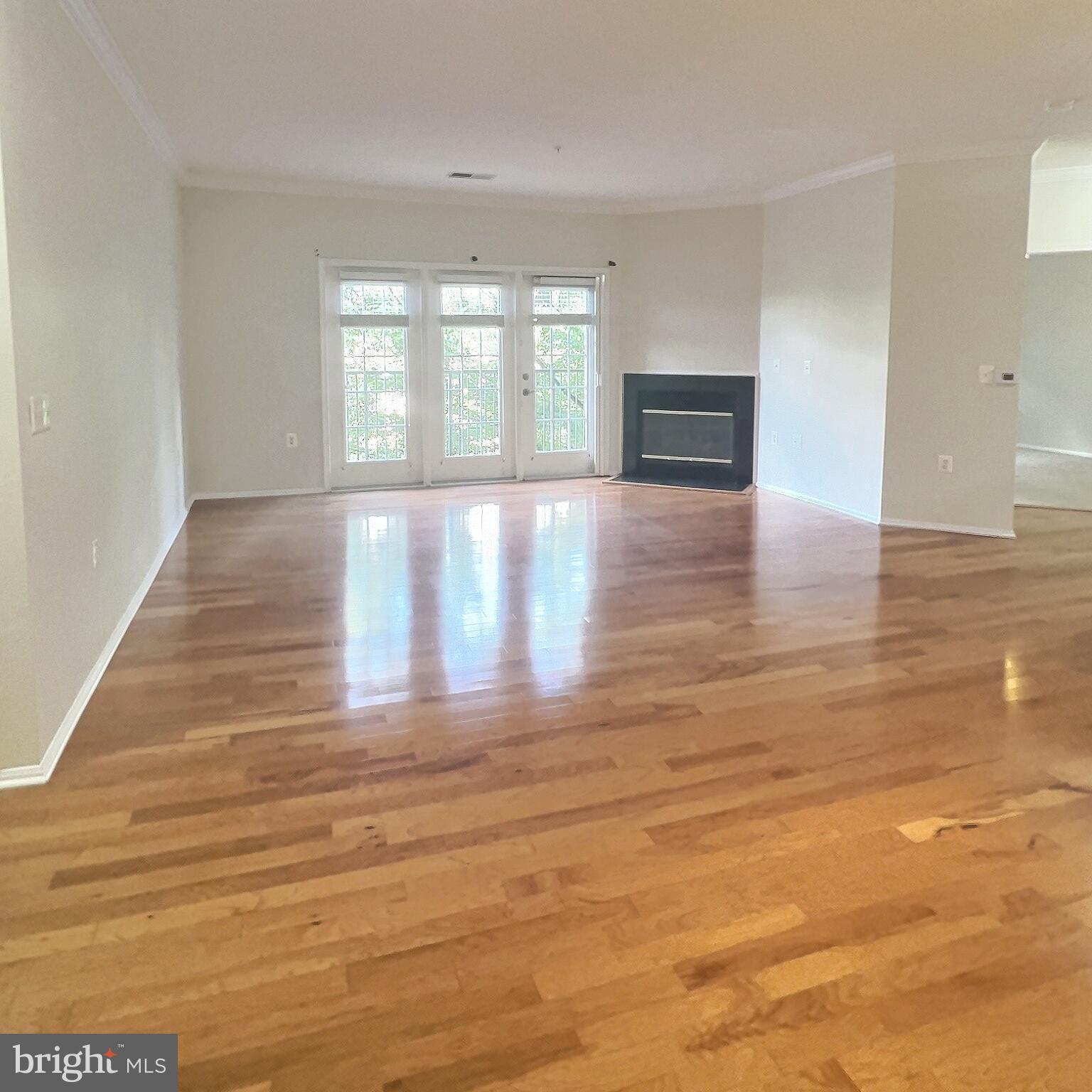 11750 Old Georgetown Road, Unit 2336 Rockville, MD 20852 - Photo 4 of 25 LR w/balcony