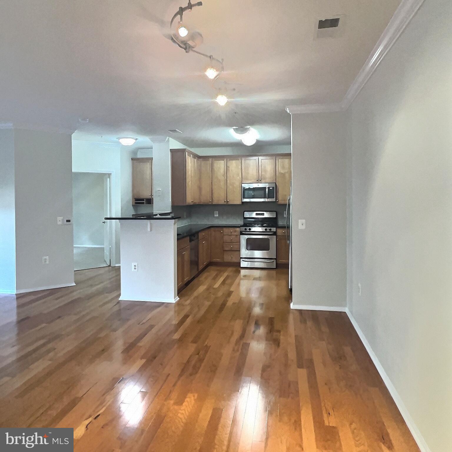 11750 Old Georgetown Road, Unit 2336 Rockville, MD 20852 - Photo 7 of 25 Kitchen w/new appliances