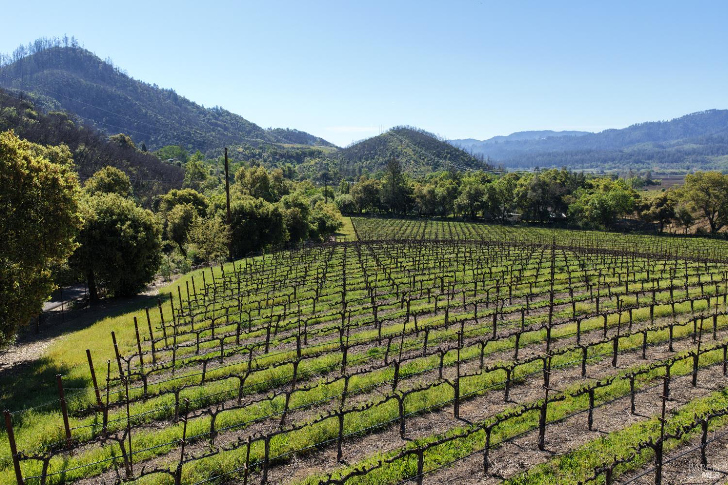 255 Dutch Henry Canyon Road Calistoga, CA 94515 - Photo 11 of 11