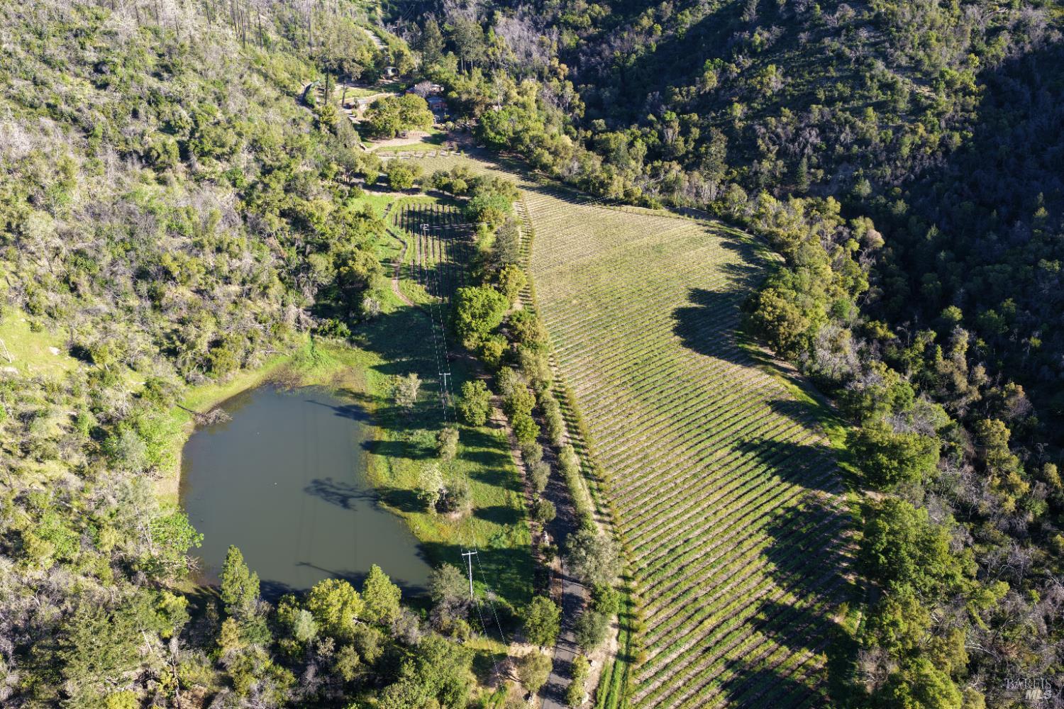255 Dutch Henry Canyon Road Calistoga, CA 94515 - Photo 4 of 11