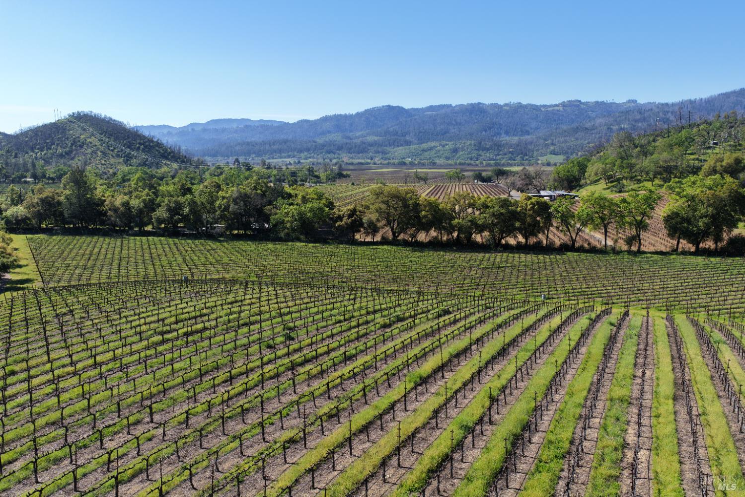 255 Dutch Henry Canyon Road Calistoga, CA 94515 - Photo 7 of 11