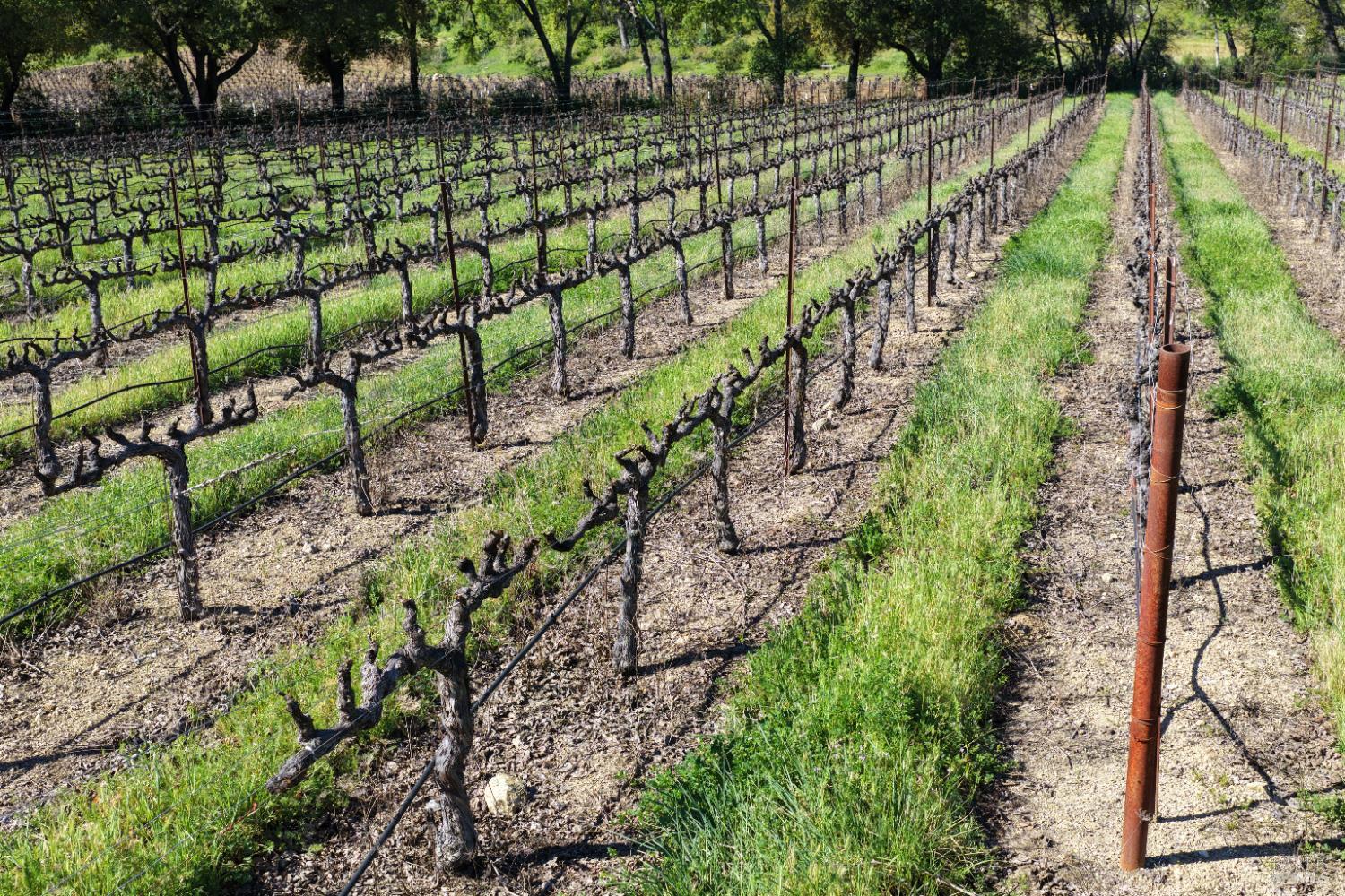 255 Dutch Henry Canyon Road Calistoga, CA 94515 - Photo 8 of 11