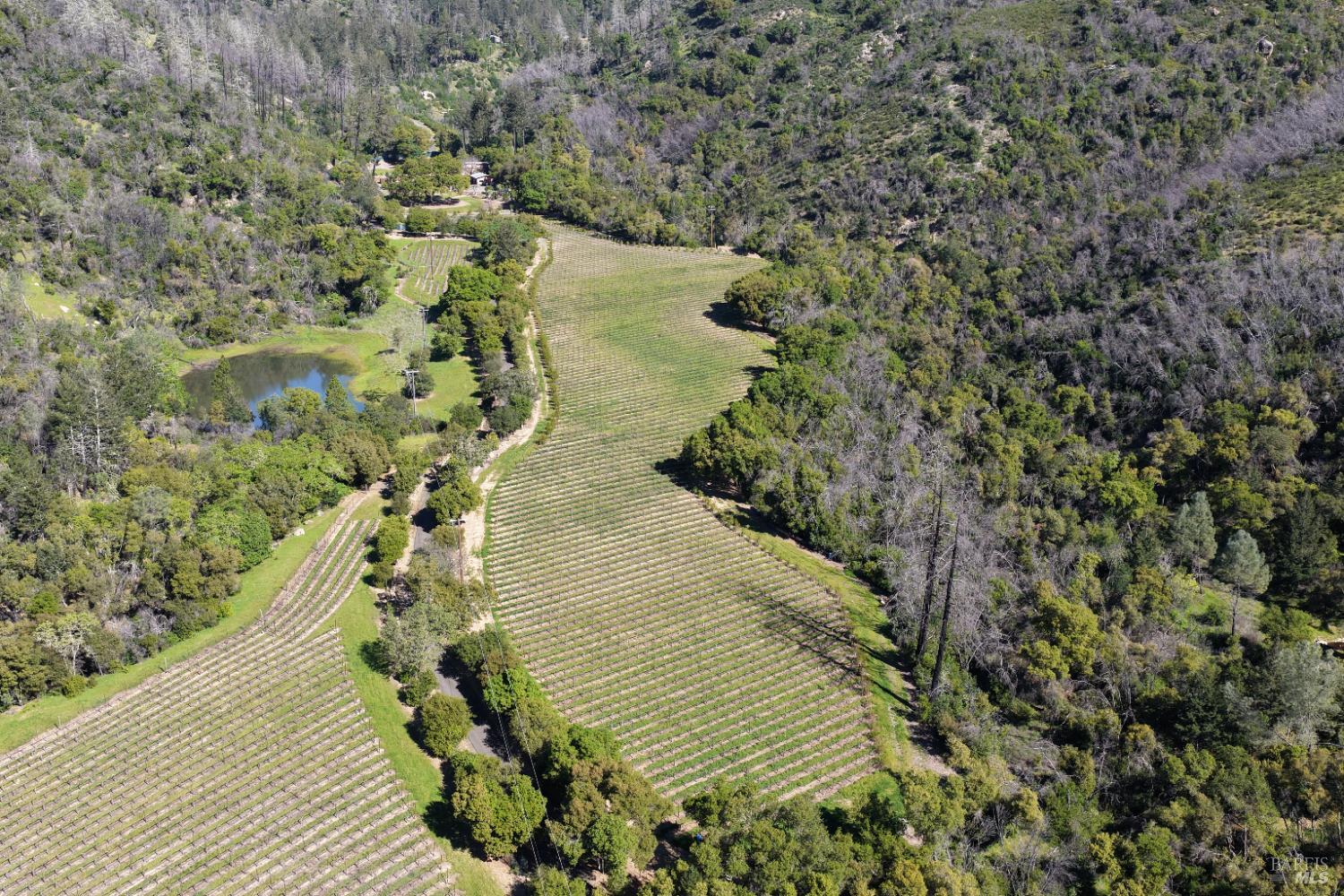 255 Dutch Henry Canyon Road Calistoga, CA 94515 - Photo 10 of 11