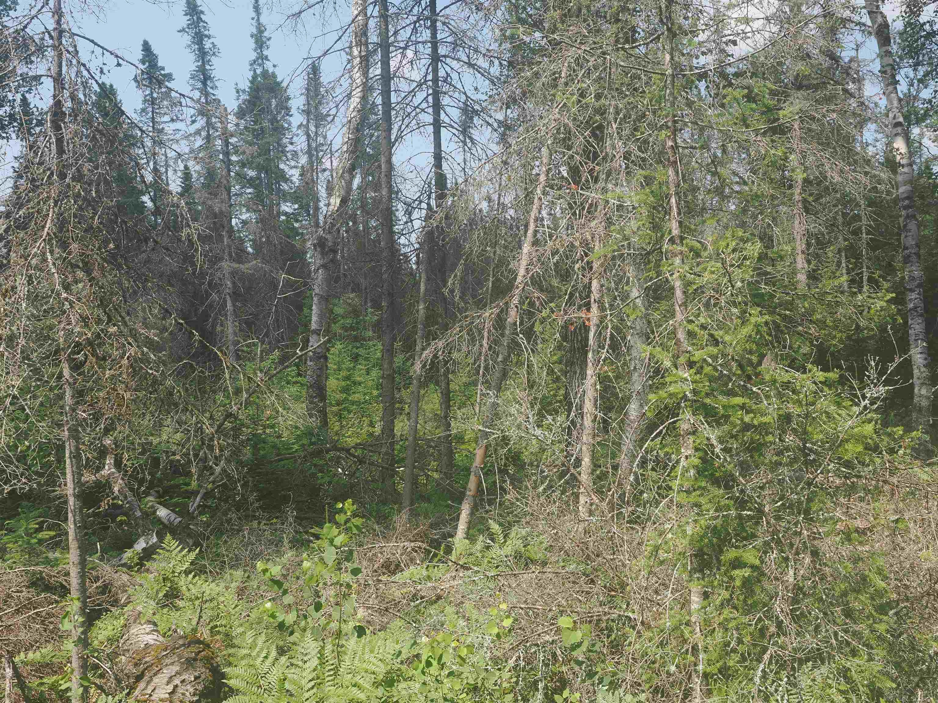 0 County Road Ishpeming, MI 49849 - Photo 82 of 85