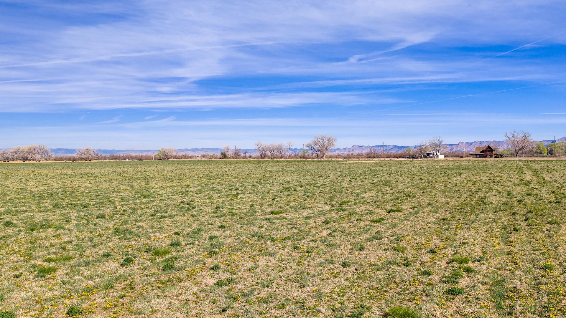 Tbd 20 Road Fruita, CO 81521 - Photo 18 of 18 Gallery Image 18
