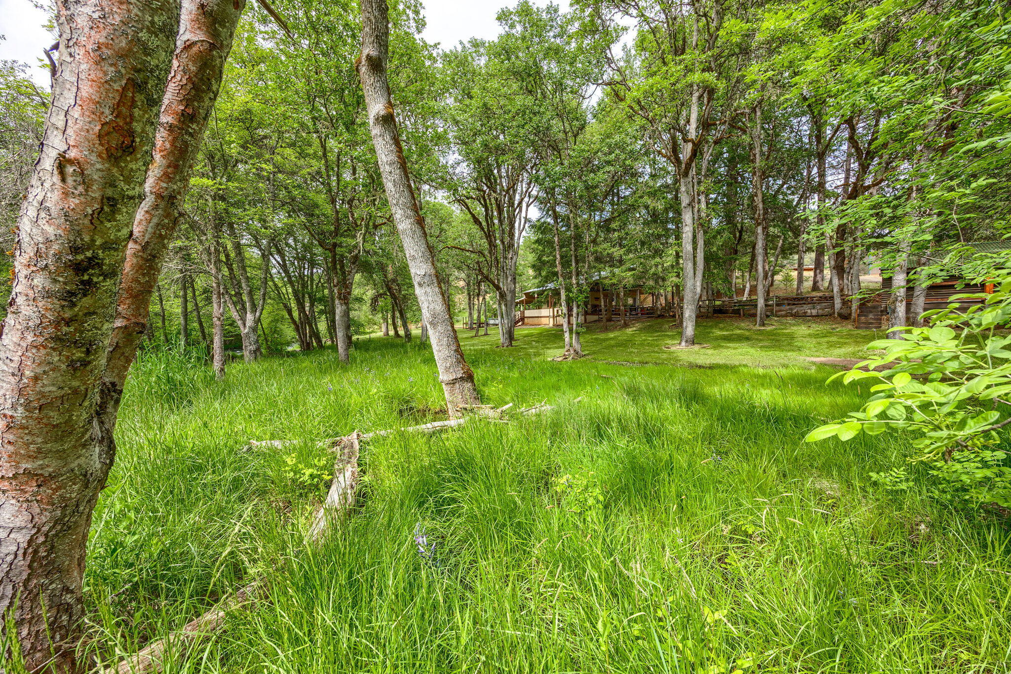 1250 Netherlands Road Trail, OR 97541 - Photo 5 of 50 5-Frontal