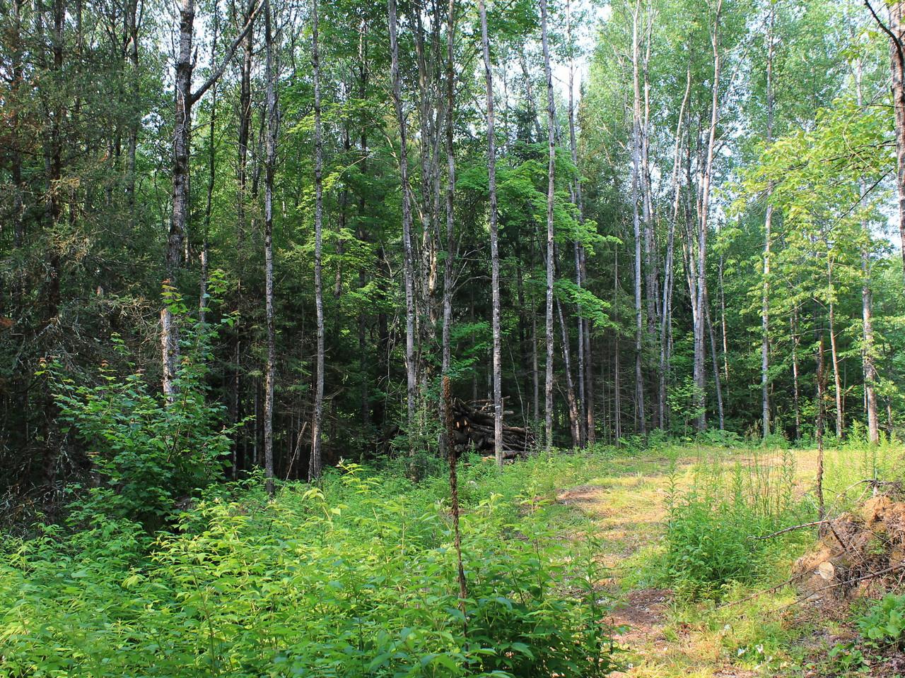 On Nathan Pass, Unit LT 32 Mercer, WI 54547 - Photo 10 of 33 Gallery Image 10