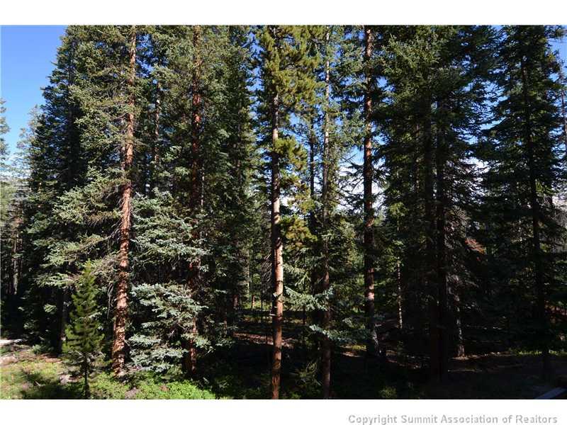 286 Moonstone Road Breckenridge, CO 80424 - Photo 15 of 25 Gallery Image 15