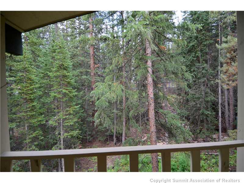 286 Moonstone Road Breckenridge, CO 80424 - Photo 24 of 25 Gallery Image 24