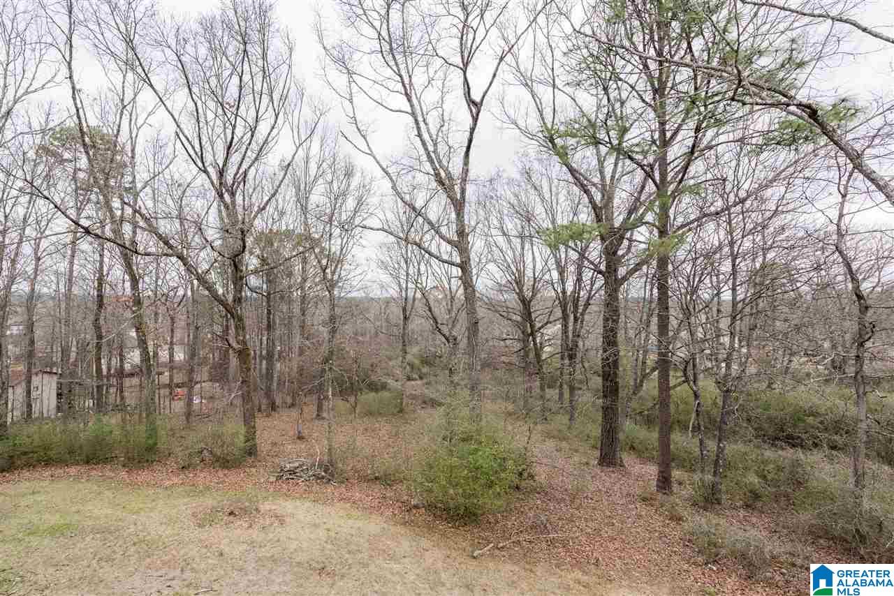 4536 South Shades Crest Road Bessemer, AL 35022 - Photo 32 of 33