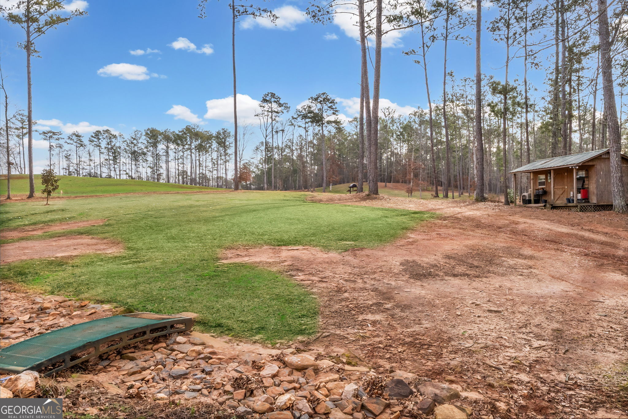 2376 Smokey Road Newnan, GA 30263 - Photo 39 of 60