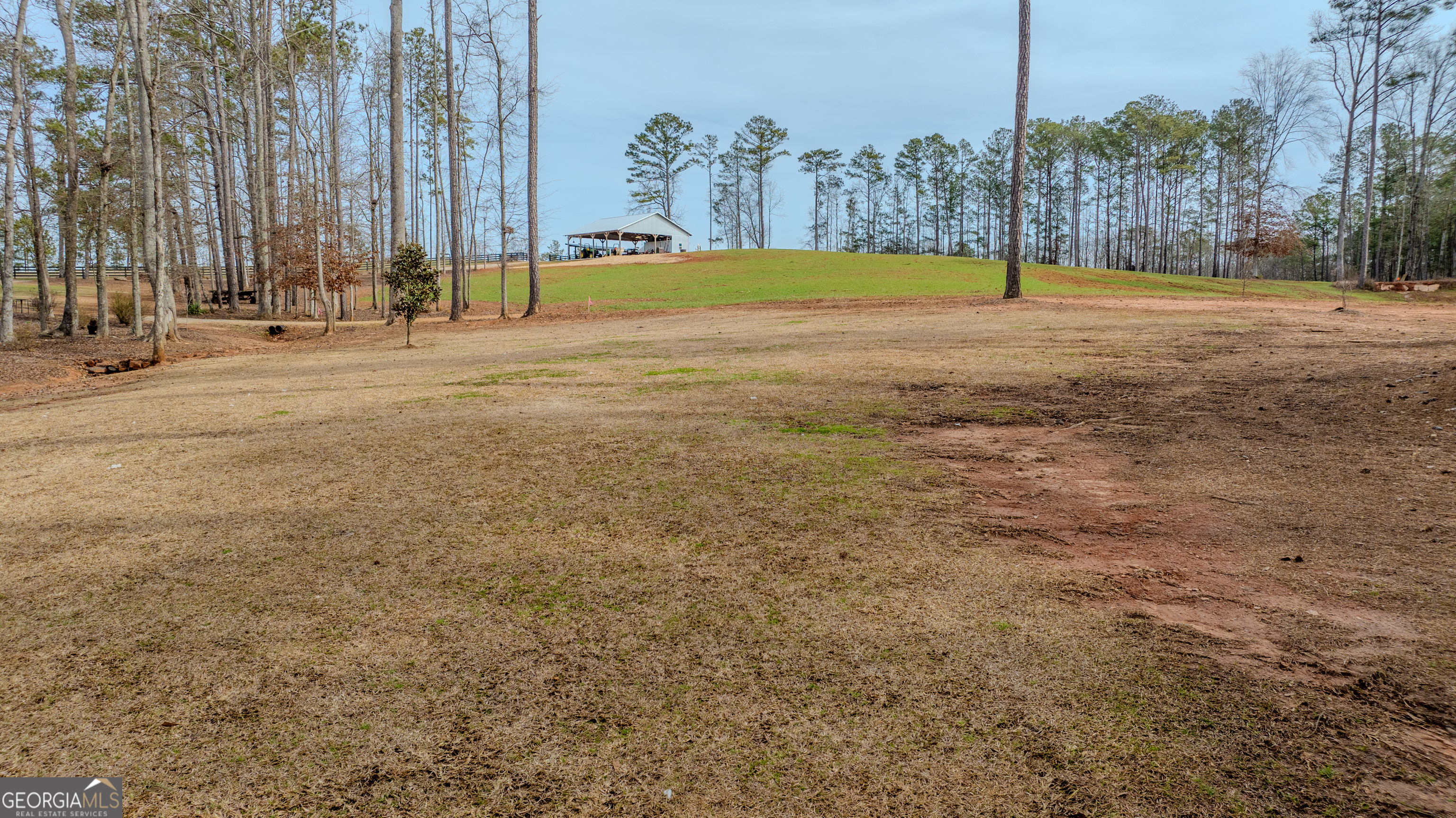 2376 Smokey Road Newnan, GA 30263 - Photo 47 of 60