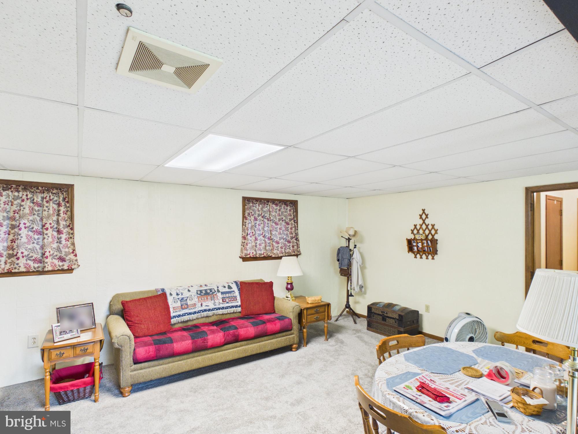 147 Frogtown Road Pequea, PA 17565 - Photo 21 of 27 Lower Level Family Room