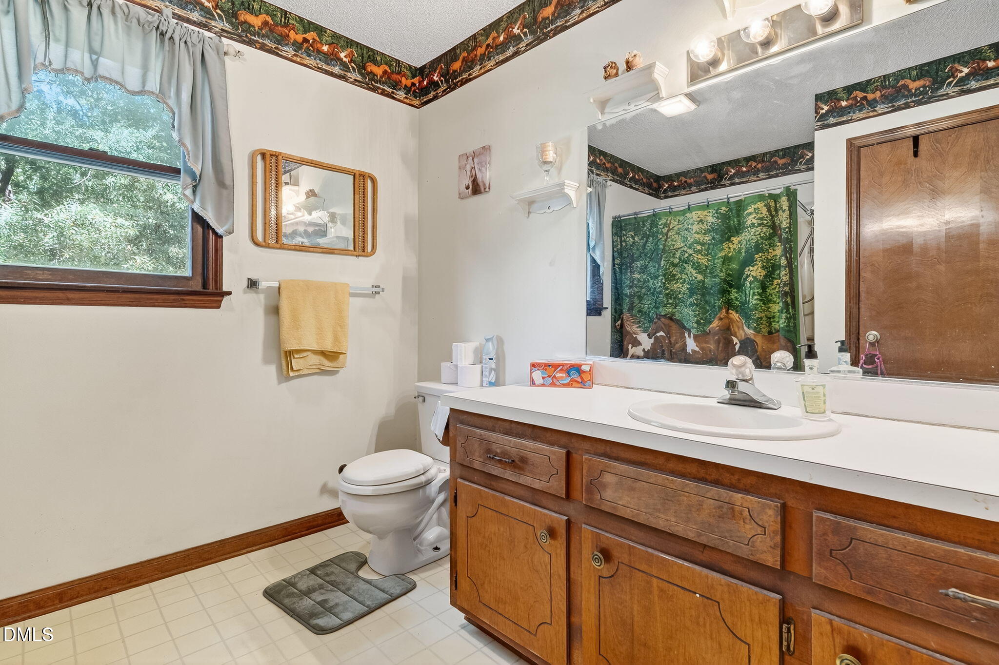 350 Grantham School Road Goldsboro, NC 27530 - Photo 21 of 54 a bathroom with a sink and a mirror