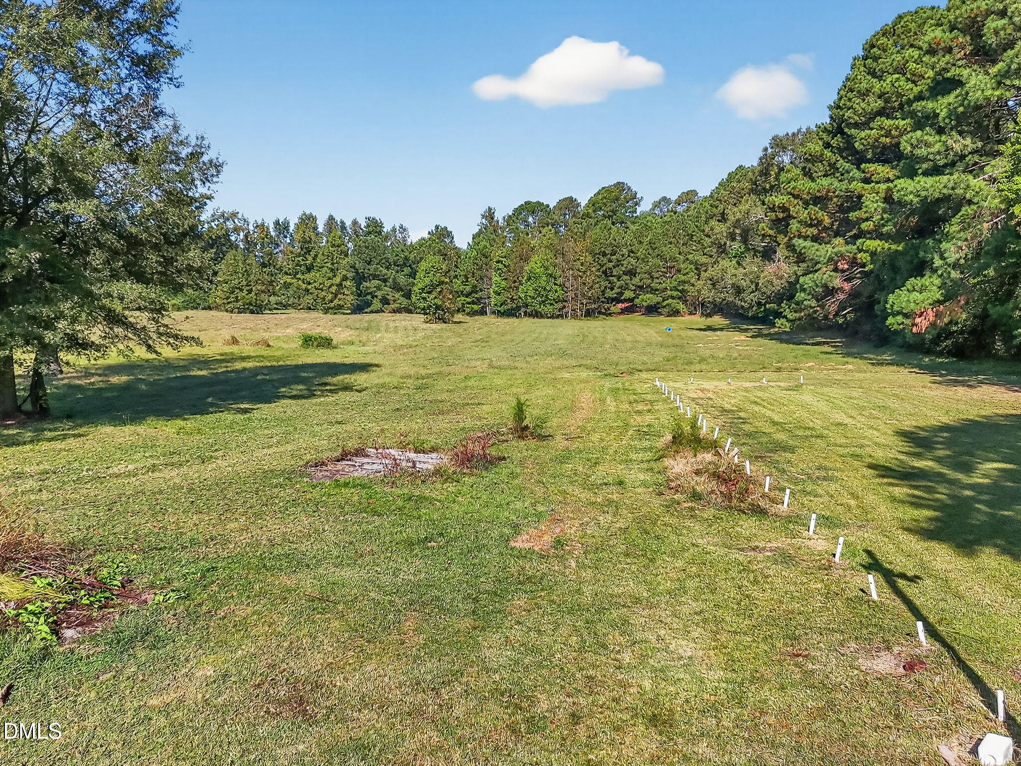 350 Grantham School Road Goldsboro, NC 27530 - Photo 46 of 54 a view of a lake from a yard
