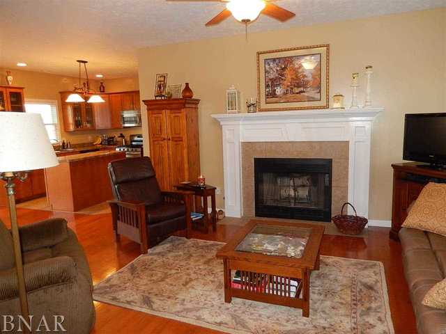 9870 North Ridge Circle Clinton, IL 61727 - Photo 11 of 29