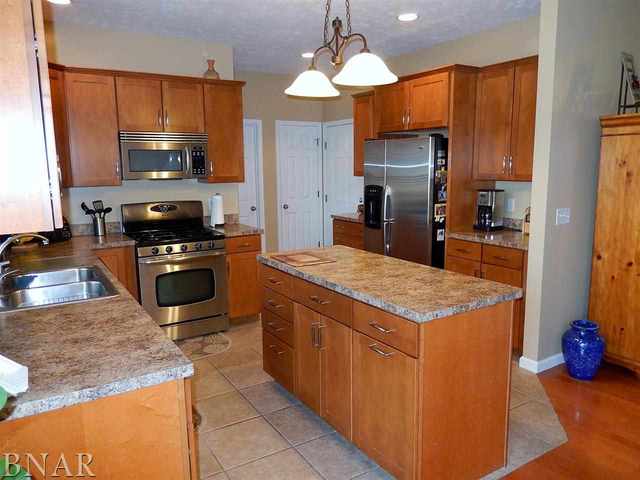 9870 North Ridge Circle Clinton, IL 61727 - Photo 13 of 29