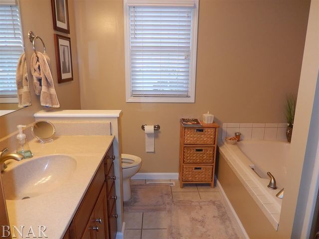 9870 North Ridge Circle Clinton, IL 61727 - Photo 17 of 29