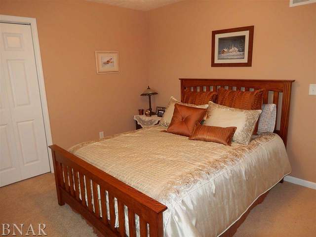 9870 North Ridge Circle Clinton, IL 61727 - Photo 20 of 29