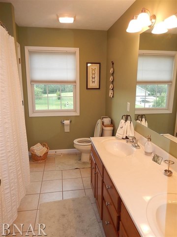 9870 North Ridge Circle Clinton, IL 61727 - Photo 21 of 29