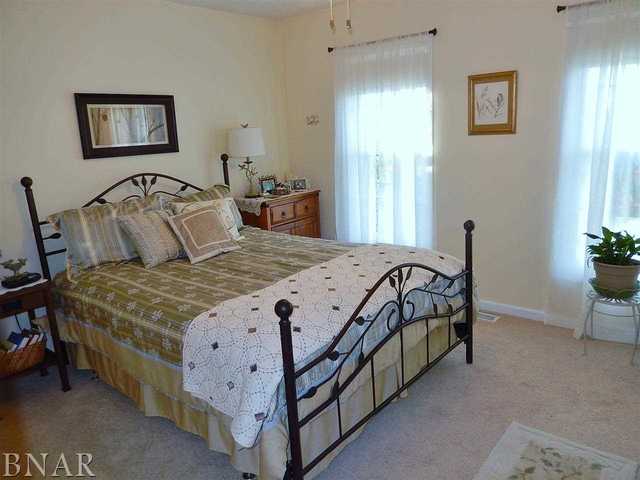 9870 North Ridge Circle Clinton, IL 61727 - Photo 22 of 29