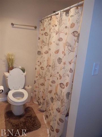 9870 North Ridge Circle Clinton, IL 61727 - Photo 27 of 29
