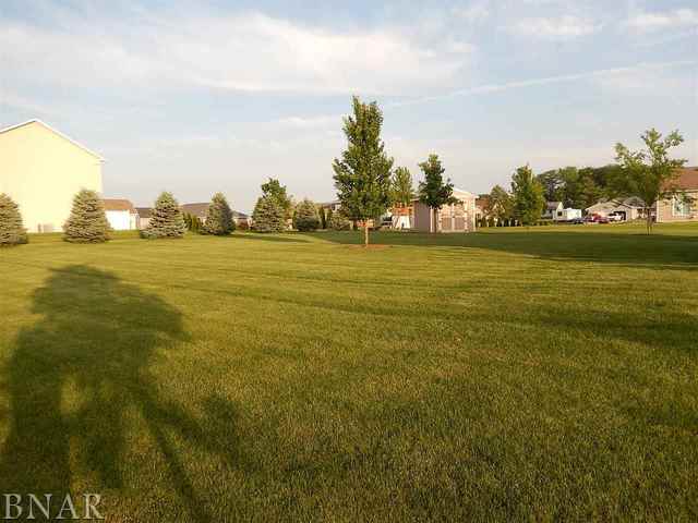 9870 North Ridge Circle Clinton, IL 61727 - Photo 4 of 29