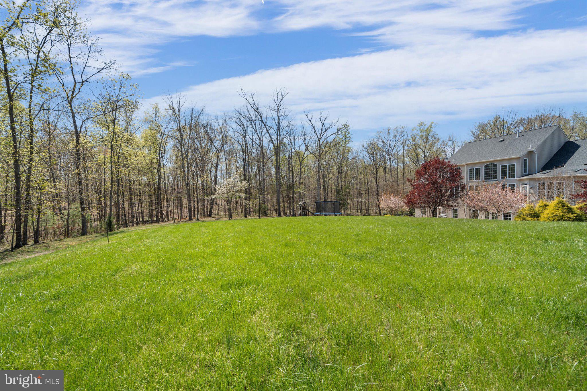 9055 Buckland Mill Road Gainesville, VA 20155 - Photo 66 of 76 Small Stream Runs through Property