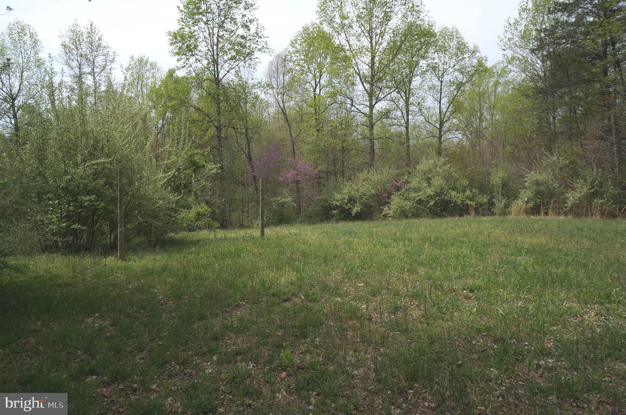807 Holly Corner Road Fredericksburg, VA 22406 - Photo 47 of 57 a view of outdoor space and yard