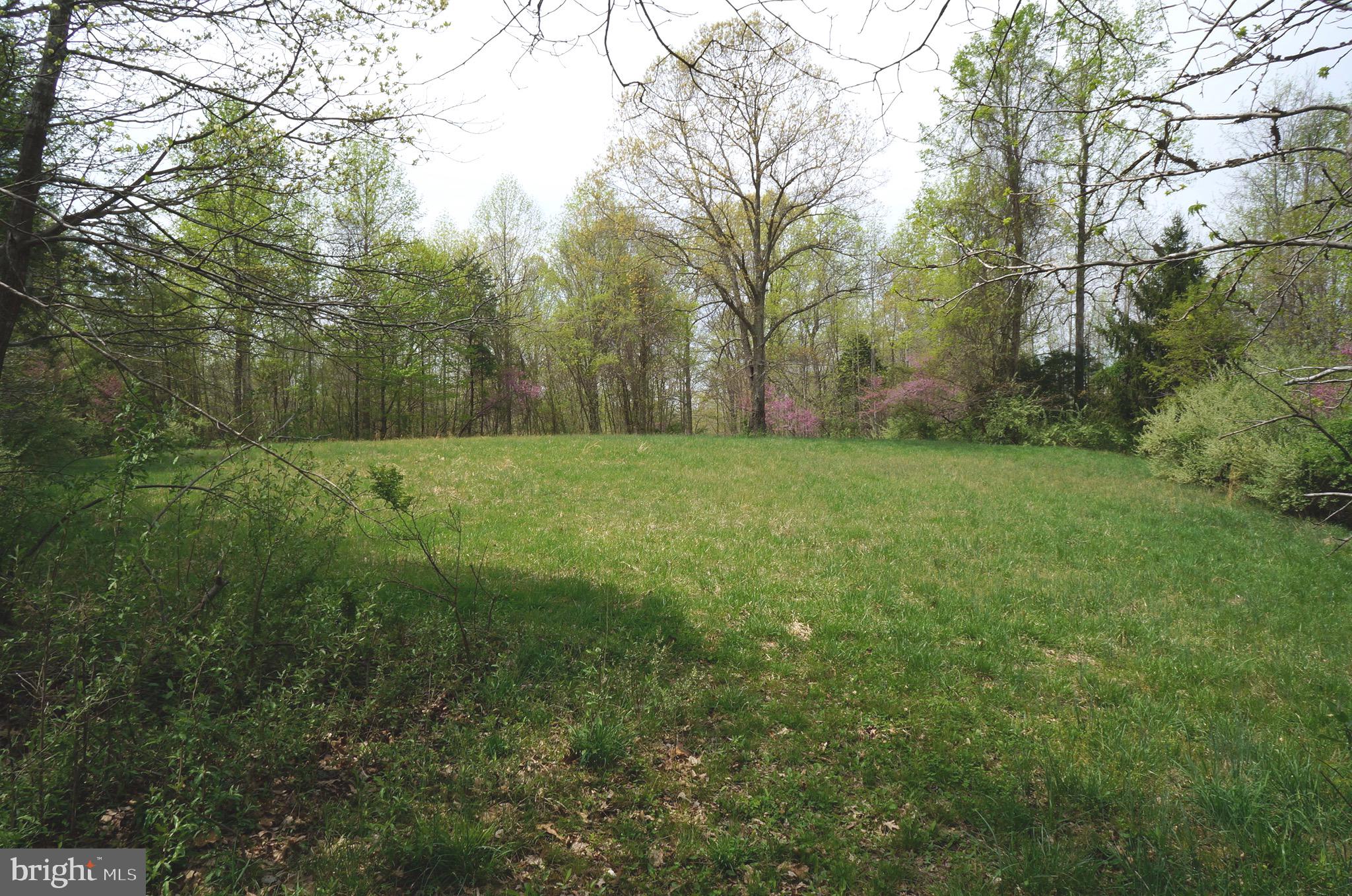 807 Holly Corner Road Fredericksburg, VA 22406 - Photo 49 of 57 a view of a field with trees in the background