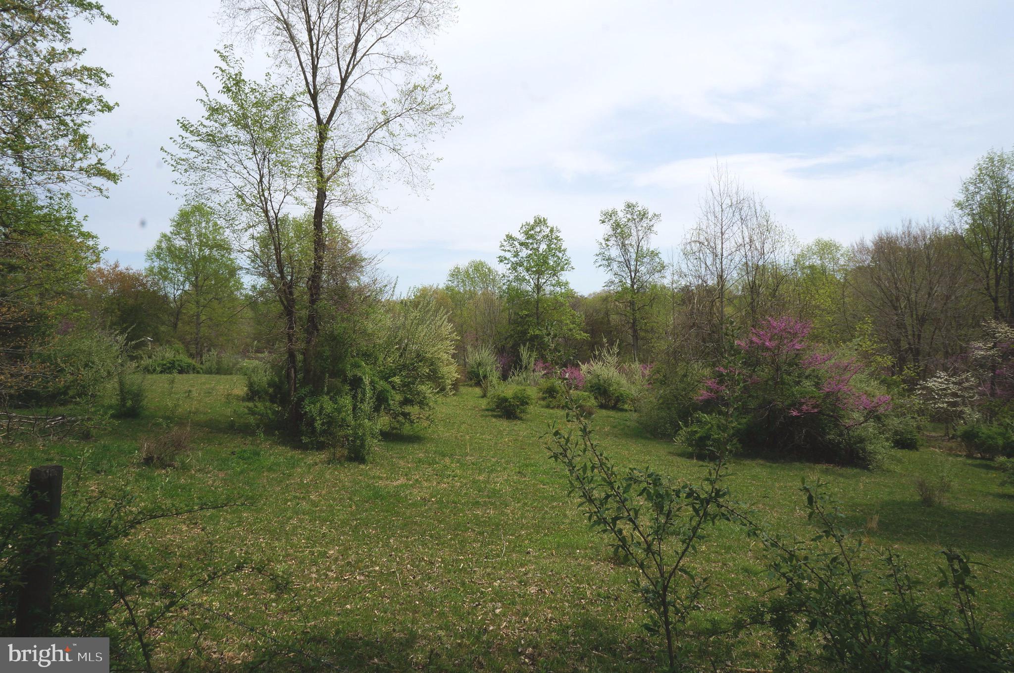 807 Holly Corner Road Fredericksburg, VA 22406 - Photo 50 of 57 a view of a green field with lots of bushes