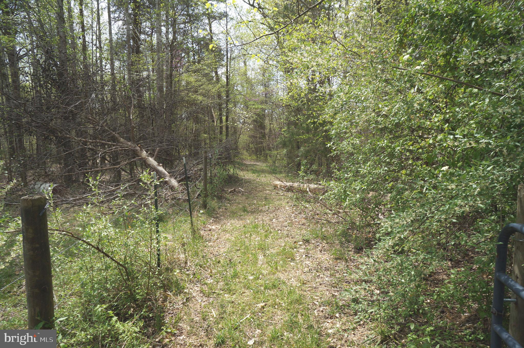 807 Holly Corner Road Fredericksburg, VA 22406 - Photo 51 of 57 a bathroom with a small yard