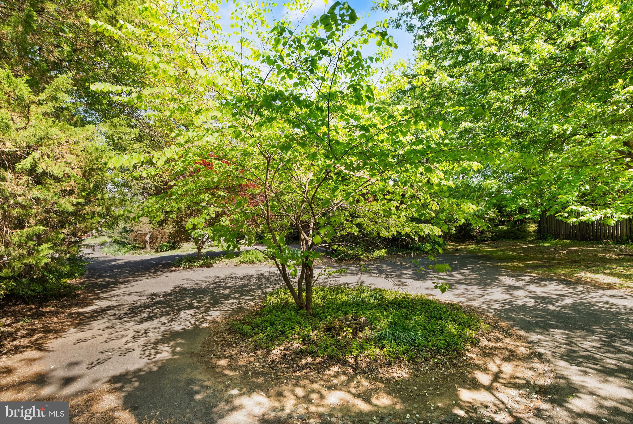 Chain Bridge McLean, VA 22101 - Photo 43 of 60 a backyard of a house with lots of green space