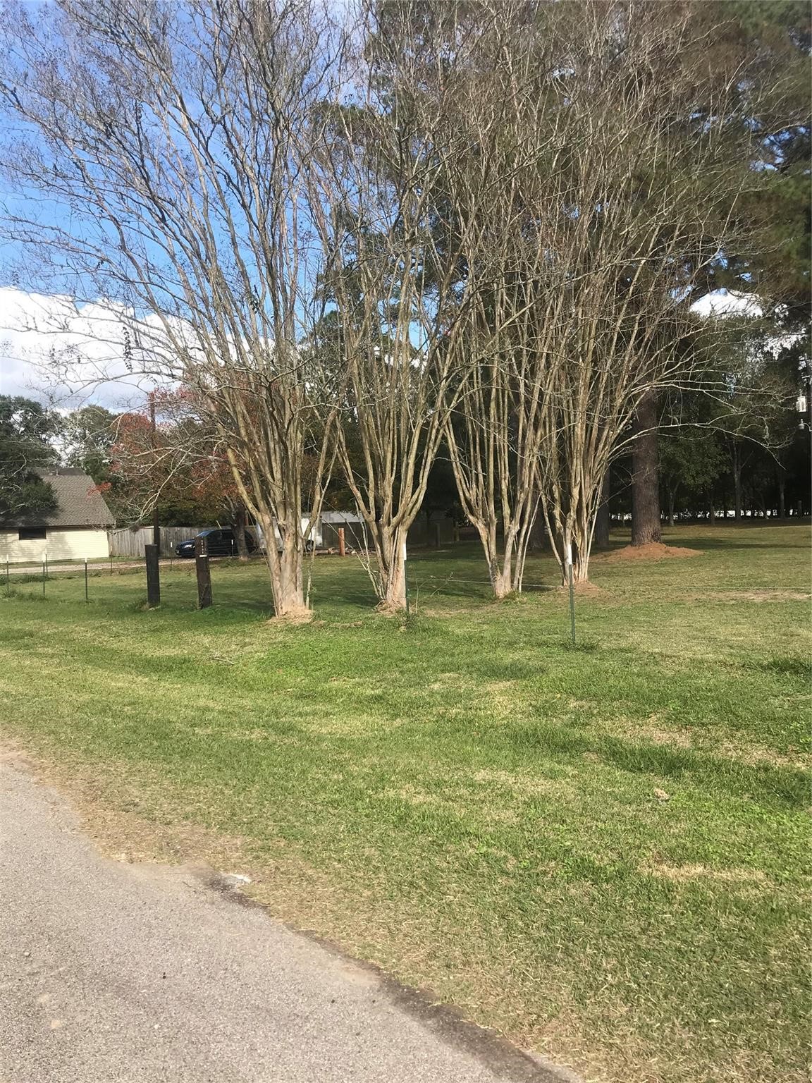 538 Lesa Lane Spring, TX 77373 - Photo 2 of 12 a view of a park with large trees