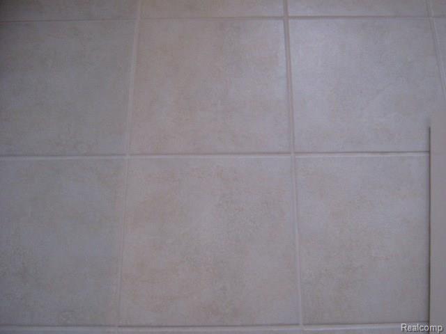 46738 Landings Drive Macomb, MI 48044 - Photo 35 of 52 049 - Copy.JPG